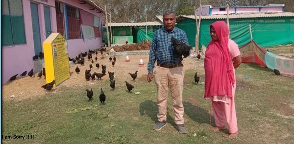 मुर्गी शेड निर्माण सकारात्मक बदलाव और सामुदायिक विकास का प्रेरक उदाहरण