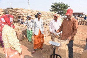 30071 किसानों से 1,57,155.72 मे. टन धान की खरीदी की गई