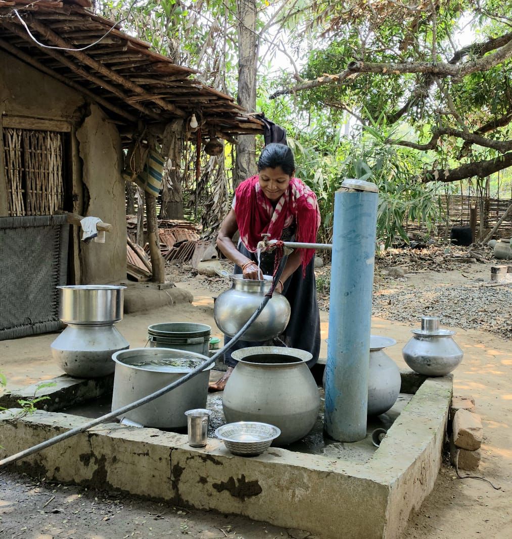 लैलूंगा की पहचान बना ‘केलो’ जैविक जंवाफूल चावल