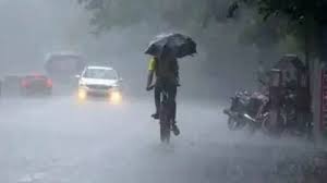 छत्तीसगढ़ में मानसून मेहरबान, कई जिलों में झमाझम बारिश; रायपुर समेत 11 जिलों में ऑरेंज अलर्ट