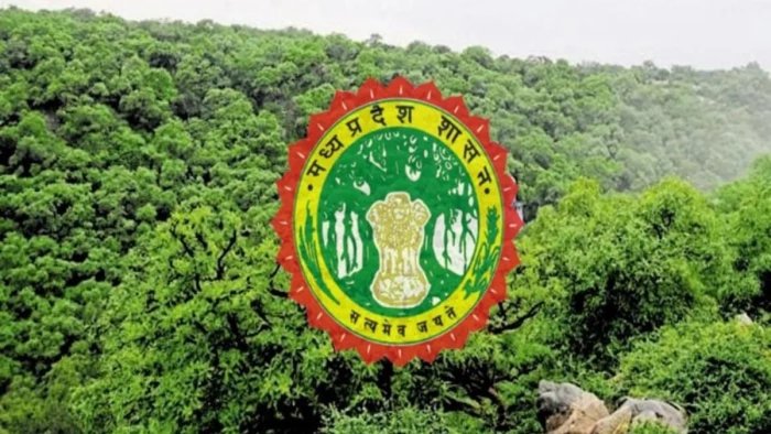 एमपी वन विभाग में बड़ा फेरबदल, 49 अधिकारियों के तबादले; सिवनी, छिंदवाड़ा और उमरिया के SDO बदले