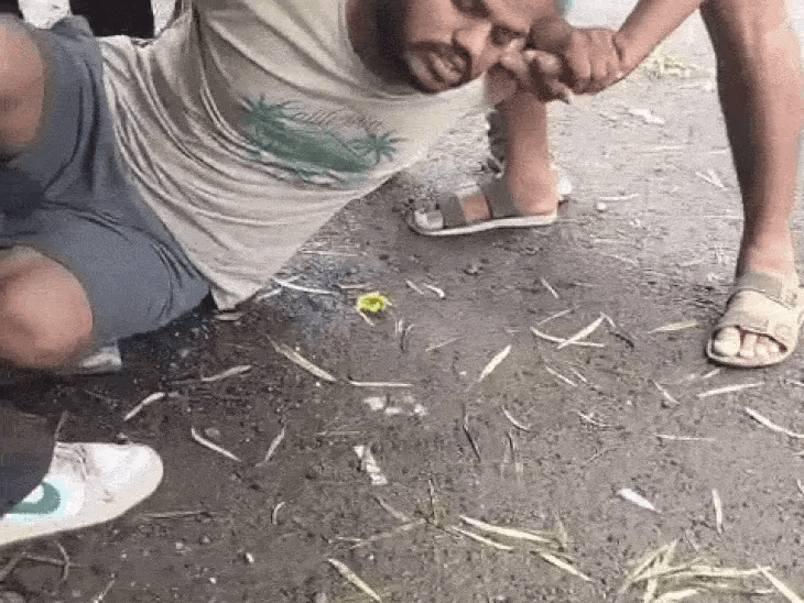 भोपाल के हमीदिया अस्पताल से कैदी ने की भागने की कोशिश, 4th फ्लोर के टॉयलेट से पाइप के सहारे उतरा, पुलिस ने दबोचा