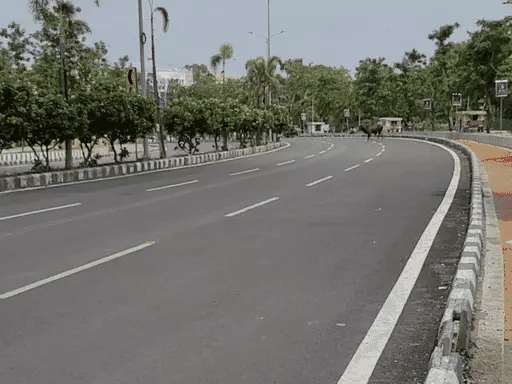 छत्तीसगढ़ में गांधी के सेवाग्राम में सन्नाटा, 109 करोड़ खर्च:इमारतें तैयार, न कारीगरों की वर्कशॉप, न ट्रेनिंग, भूपेश सरकार ने शुरू किया था प्रोजेक्ट